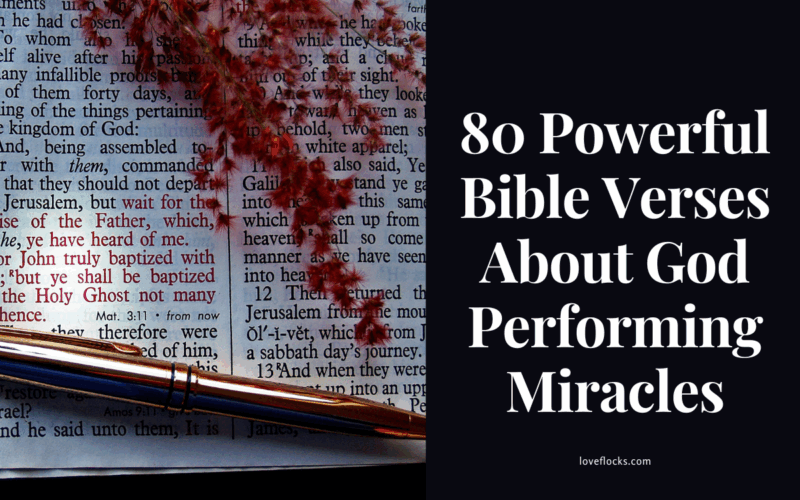 80 Powerful Bible Verses About God Performing Miracles