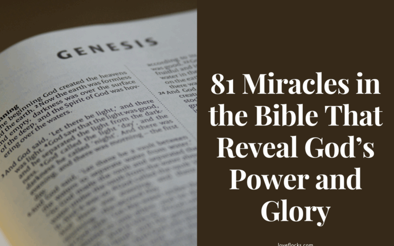 81 Miracles in the Bible That Reveal God’s Power and Glory