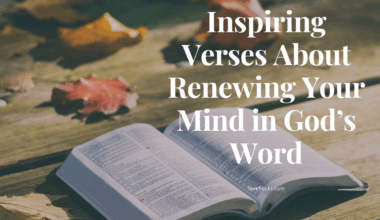 A Bible open with a sunrise shining on it, symbolizing a new mindset