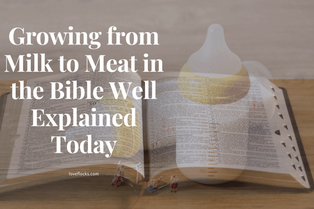 Growing from milk to meat in the Bible, symbolized by a baby bottle beside a Bible