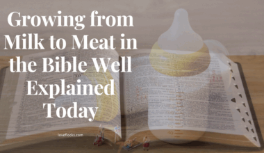 Growing from milk to meat in the Bible, symbolized by a baby bottle beside a Bible