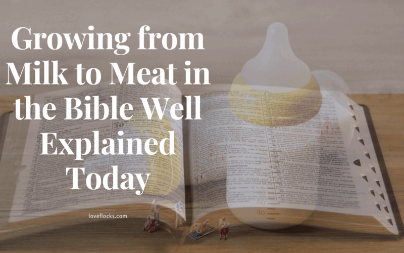 Growing from milk to meat in the Bible, symbolized by a baby bottle beside a Bible