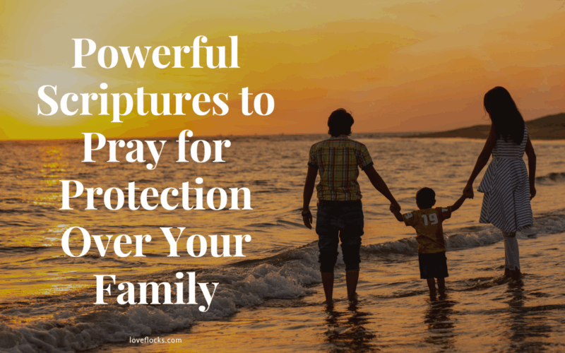 A family standing hand in hand beneath a bright sky