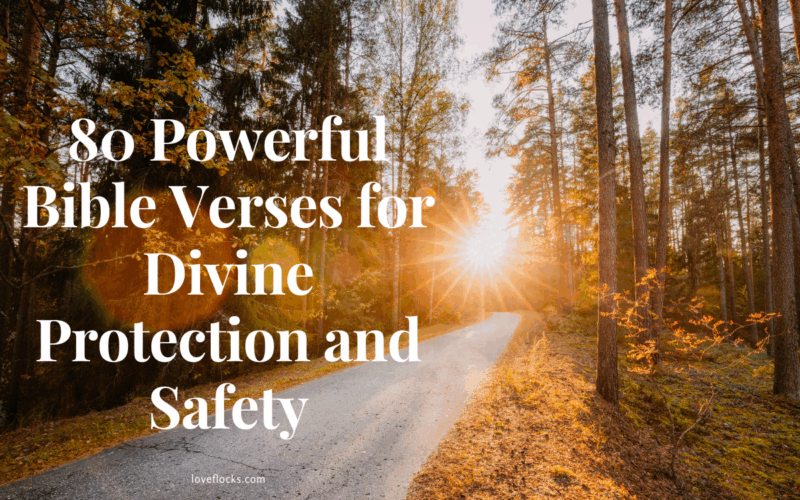 A peaceful forest path with light breaking through the trees