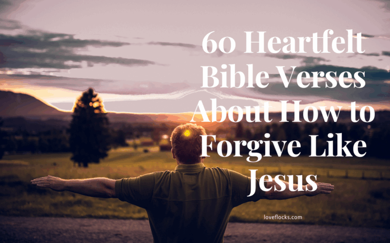 A person standing in a field with arms outstretched toward a sunrise