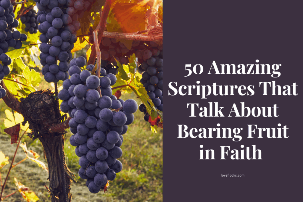 A vine with healthy grapes growing under sunlight near an open Bible