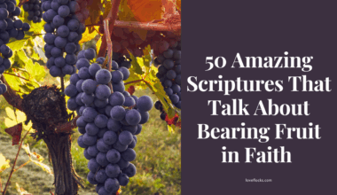 A vine with healthy grapes growing under sunlight near an open Bible