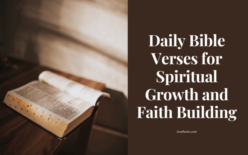 An open Bible on a wooden table with morning sunlight shining through a window