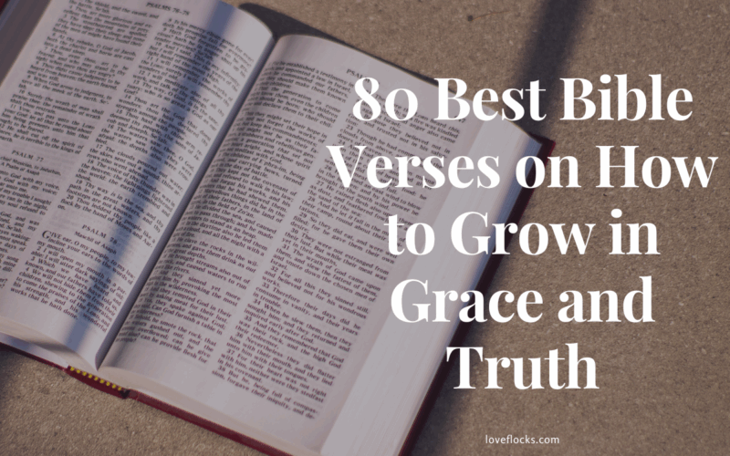 A person reading the Bible at sunrise, symbolizing daily growth in grace and truth