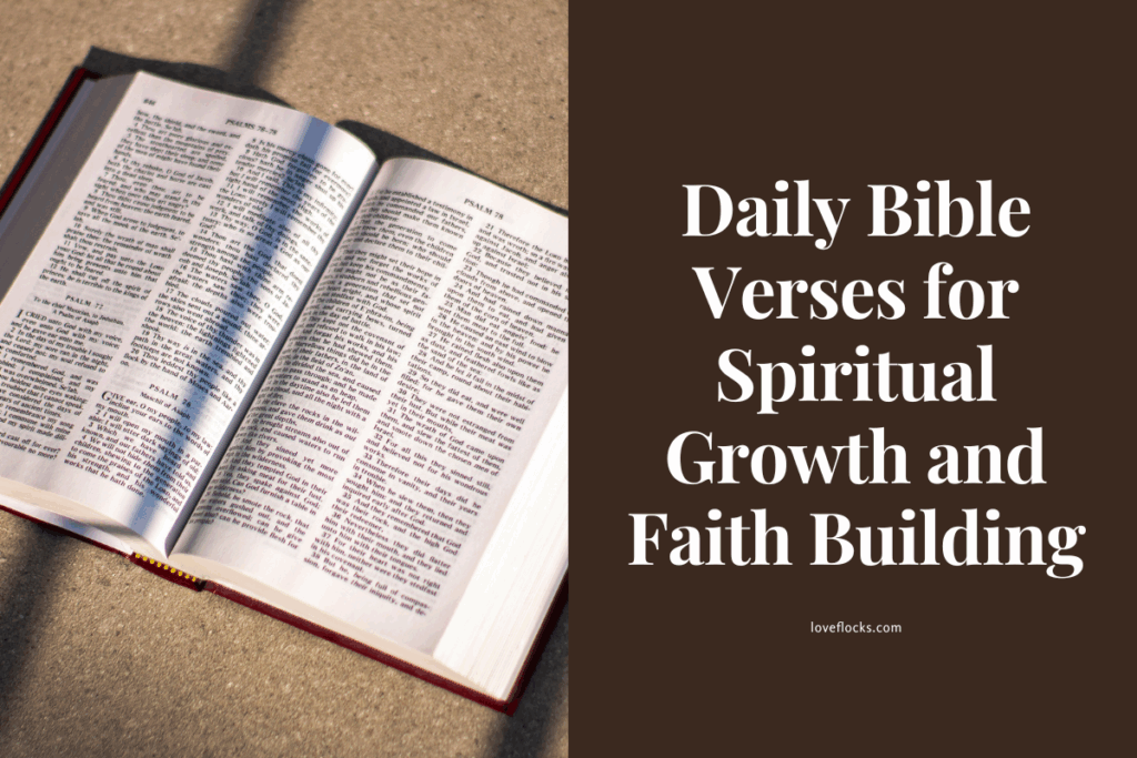 An open Bible with soft light shining on its pages