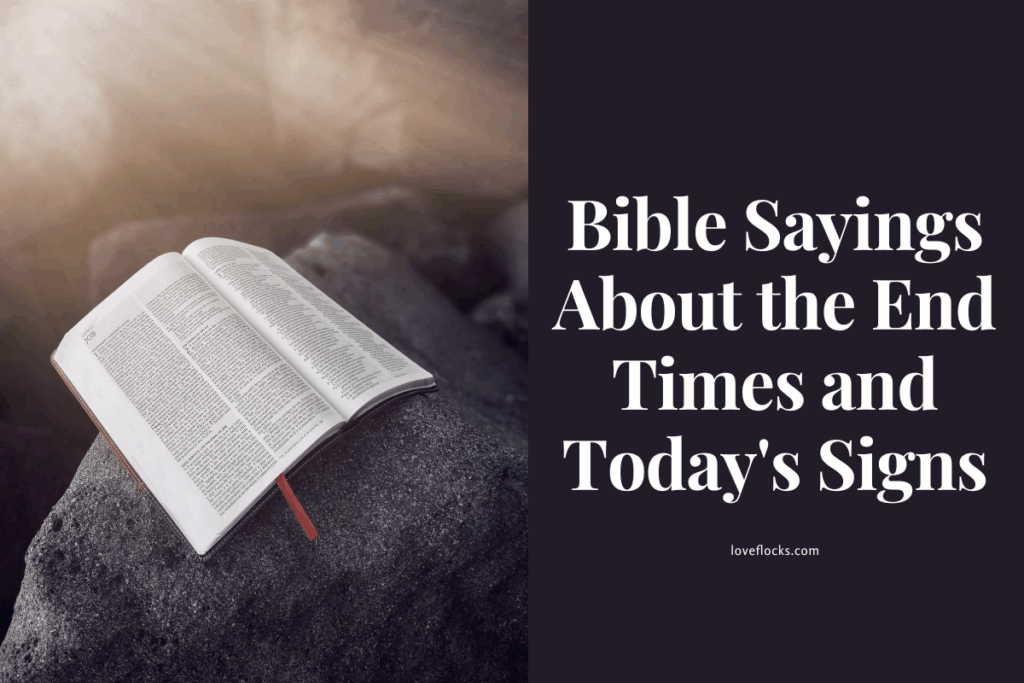 Bible Sayings About the End Times and Today's Signs