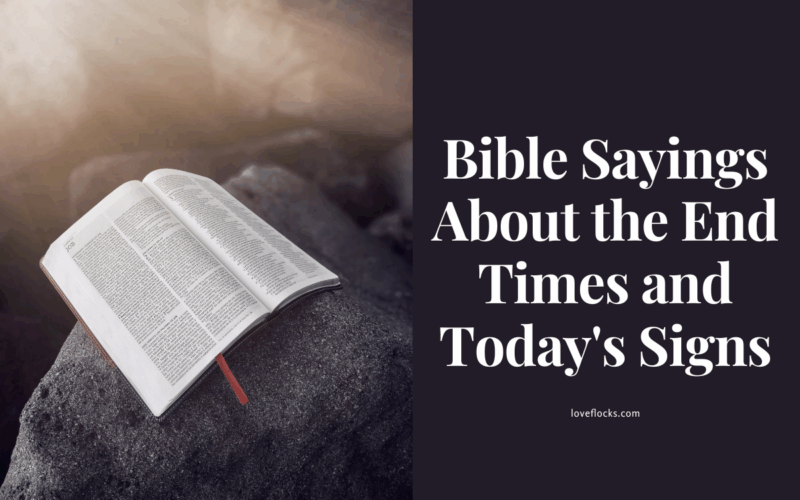 Bible Sayings About the End Times and Today's Signs