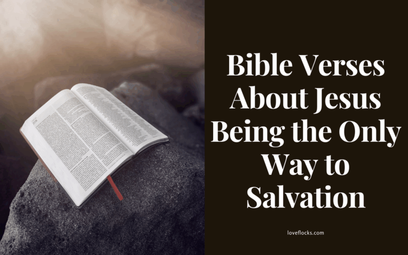 Bible Verses About Jesus Being the Only Way to Salvation