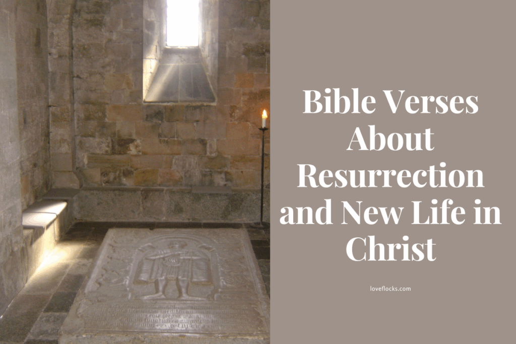 Bible Verses About Resurrection and New Life in Christ