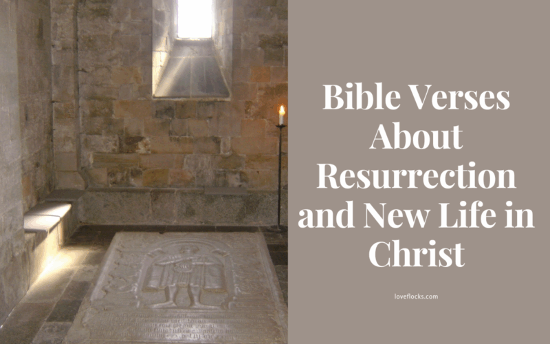 Bible Verses About Resurrection and New Life in Christ