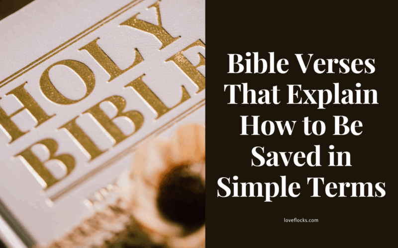Bible Verses That Explain How to Be Saved in Simple Terms