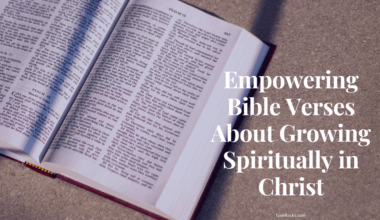 An open Bible under morning sunlight