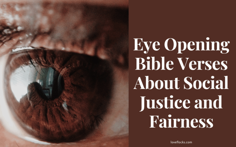 Eye Opening Bible Verses About Social Justice and Fairness