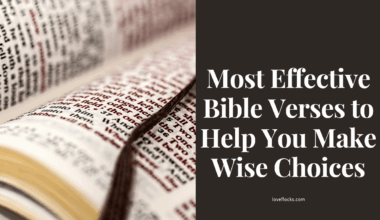 Most Effective Bible Verses to Help You Make Wise Choices
