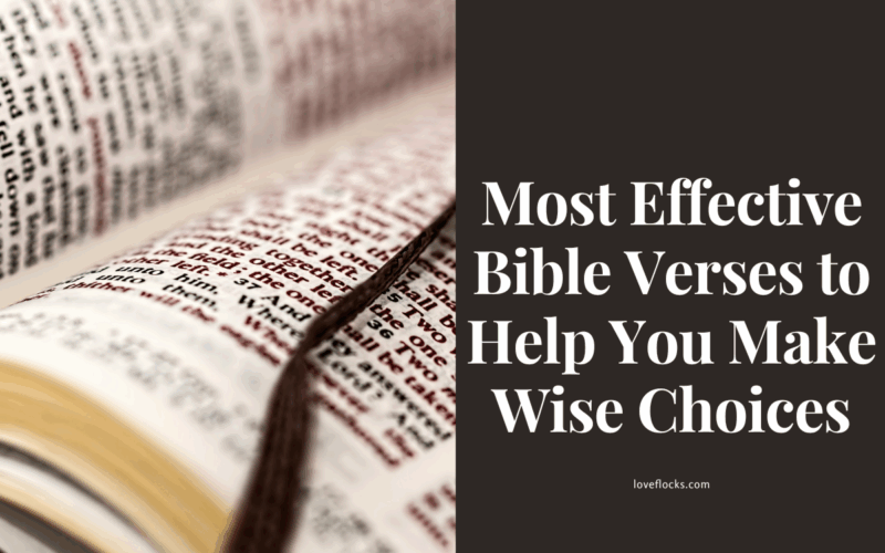 Most Effective Bible Verses to Help You Make Wise Choices