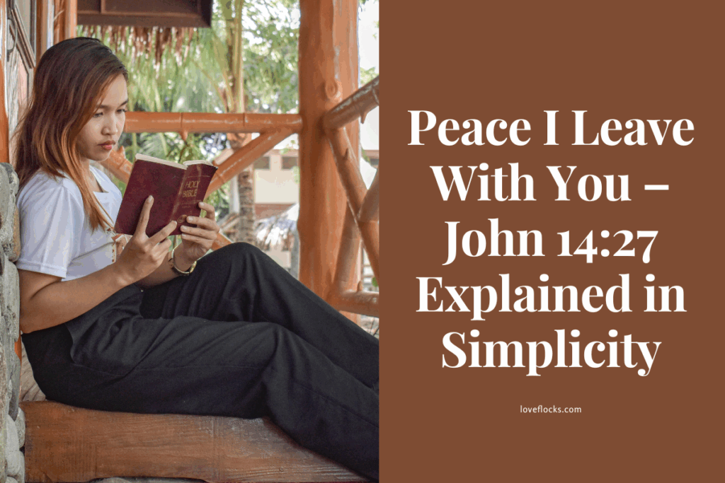 Person reading the Bible under a tree in morning stillness, reflecting on Christ’s peace
