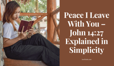 Person reading the Bible under a tree in morning stillness, reflecting on Christ’s peace