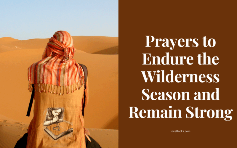 A person praying in a quiet desert landscape during a wilderness season of life