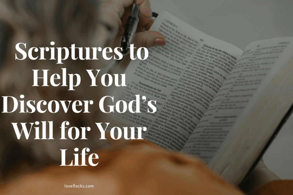  Scriptures to Help You Discover God’s Will for Your Life