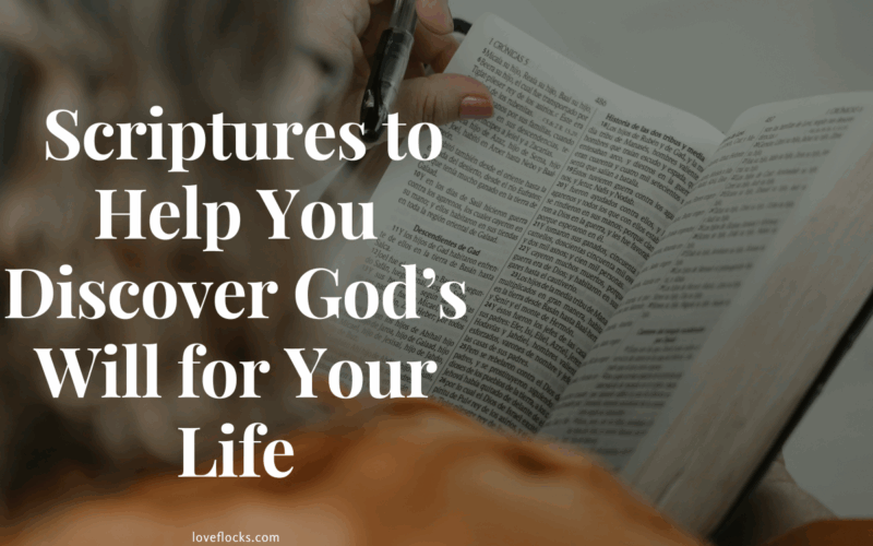 Scriptures to Help You Discover God’s Will for Your Life