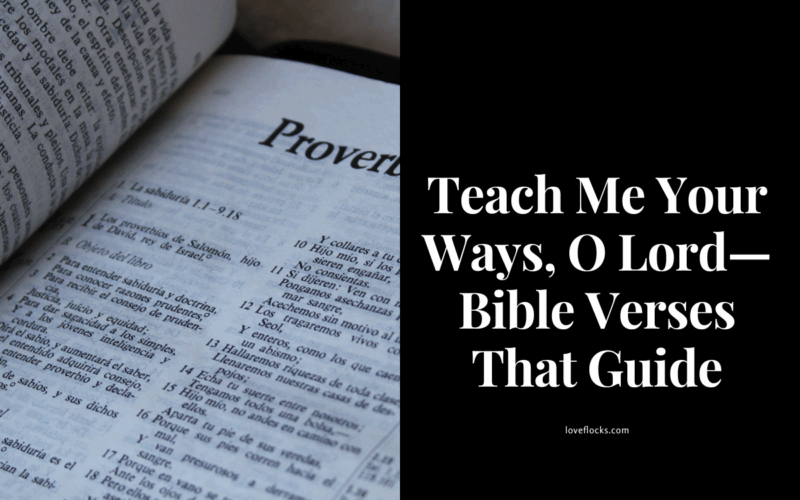 Teach Me Your Ways, O Lord—Bible Verses That Guide