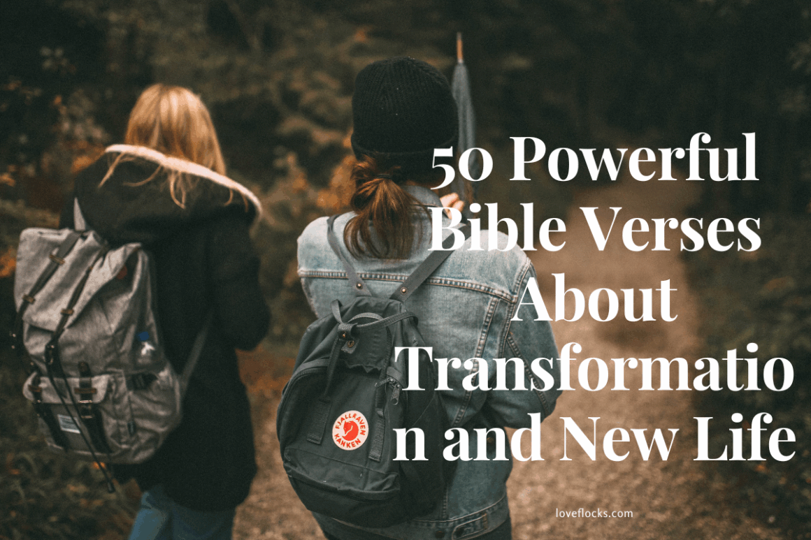 50 Powerful Bible Verses About Transformation And New Life