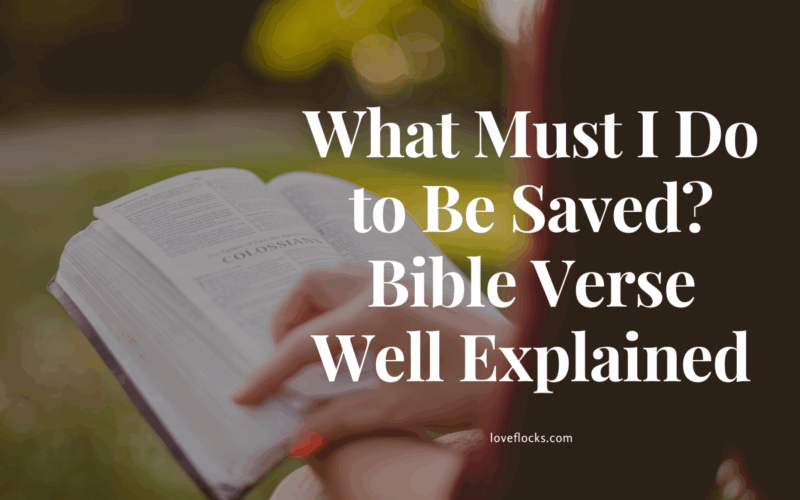 What Must I Do to Be Saved? Bible Verse Well Explained