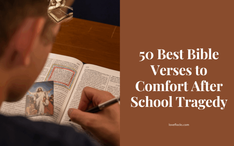 50 Best Bible Verses to Comfort After School Tragedy