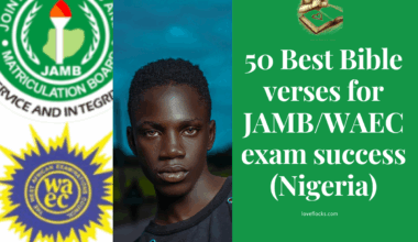 50 Best Bible verses for JAMB/WAEC exam success (Nigeria)