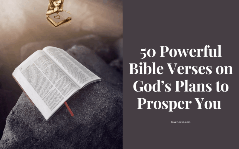 50 Powerful Bible Verses on God’s Plans to Prosper You