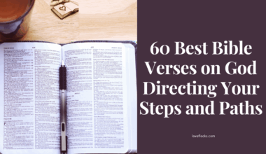 60 Best Bible Verses on God Directing Your Steps and Paths