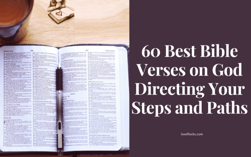 60 Best Bible Verses on God Directing Your Steps and Paths