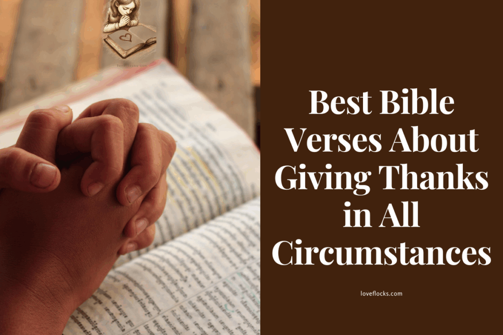 A woman hand folded on top of an open bible, symbolizing fellowship.  with God.