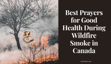 Best Prayers for Good Health During Wildfire Smoke in Canada