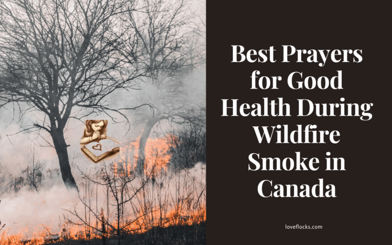 Best Prayers for Good Health During Wildfire Smoke in Canada