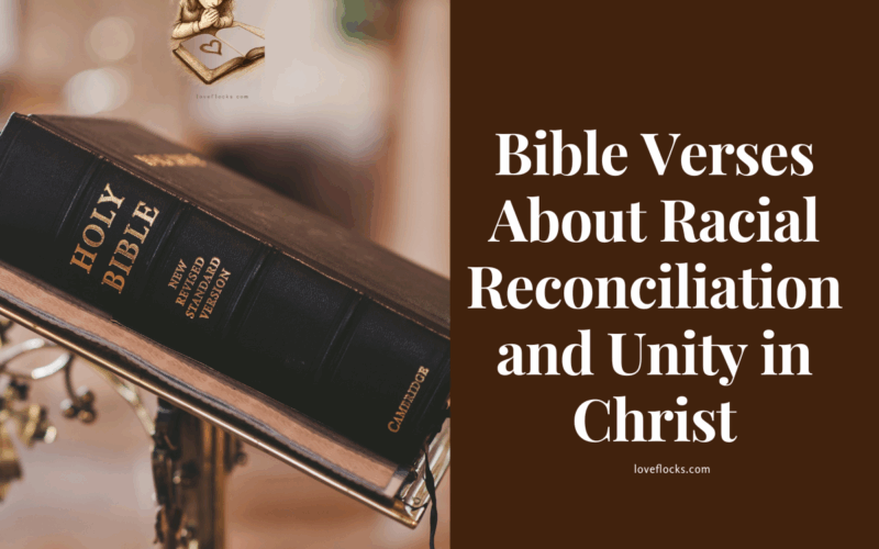 Bible Verses About Racial Reconciliation and Unity in Christ