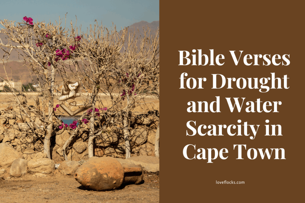 Picture of Cape Town in the days of drought and water scarcity.