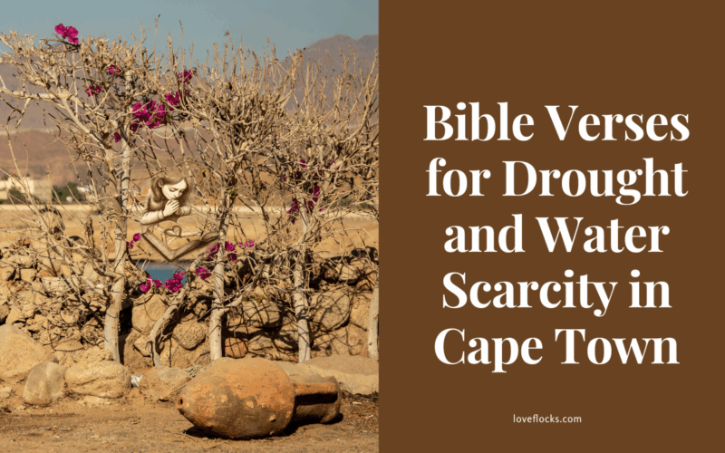 Picture of Cape Town in the days of drought and water scarcity.