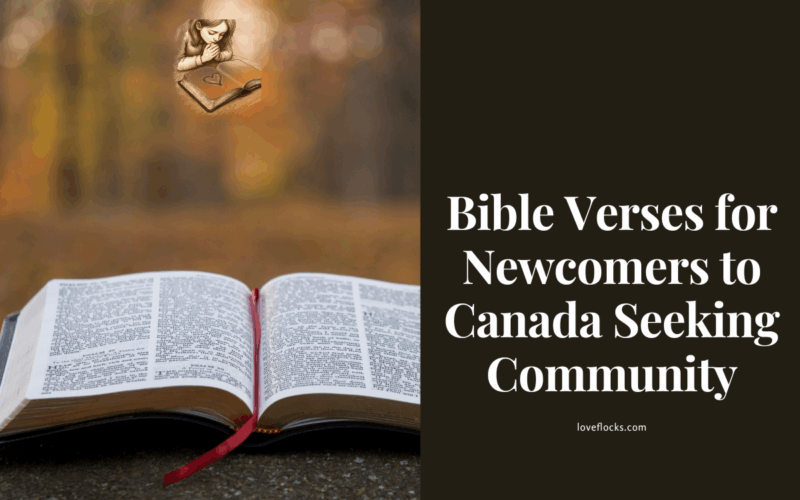 Bible Verses for Newcomers to Canada Seeking Community