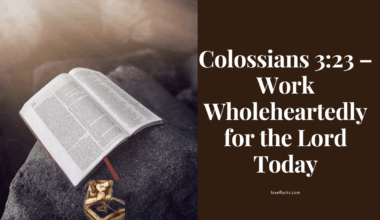 An open bible on the rock with a breaking sunlight.