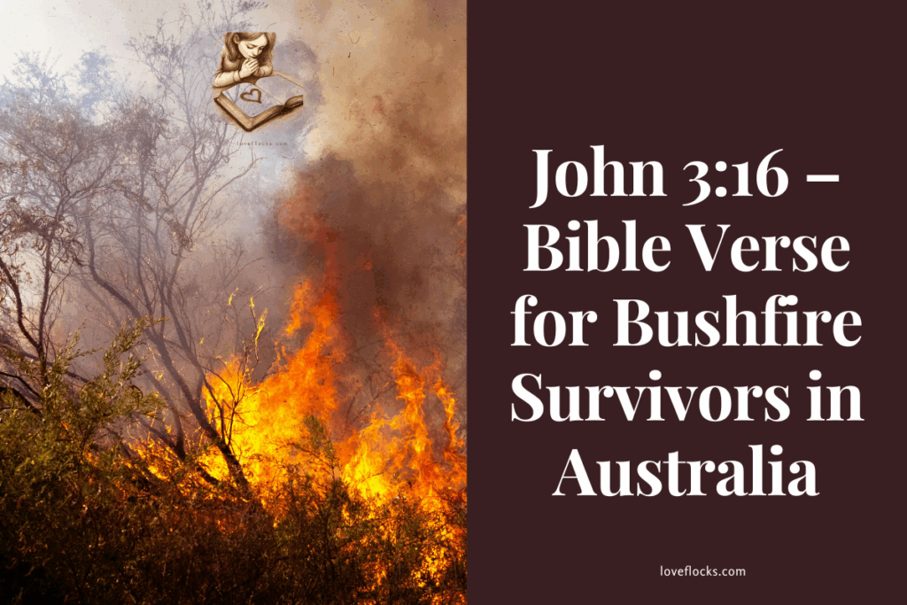 John 3:16 – Bible Verse for Bushfire Survivors in Australia