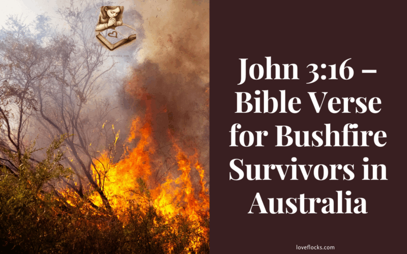 John 3:16 – Bible Verse for Bushfire Survivors in Australia