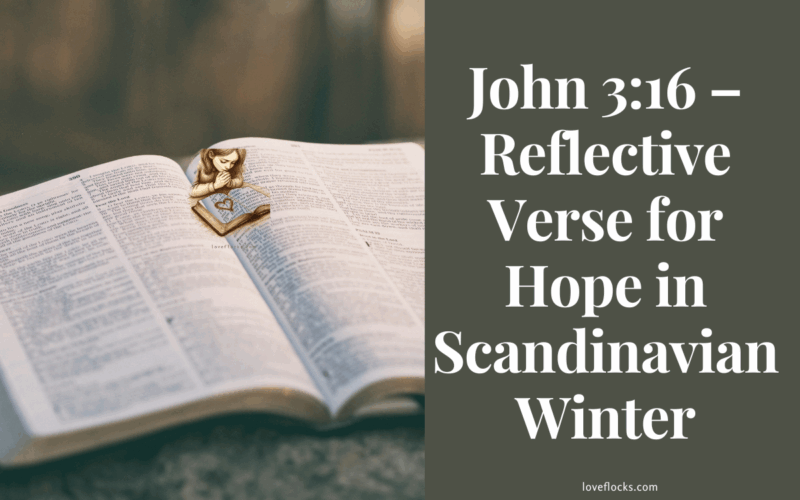 John 3:16 – Reflective Verse for Hope in Scandinavian Winter