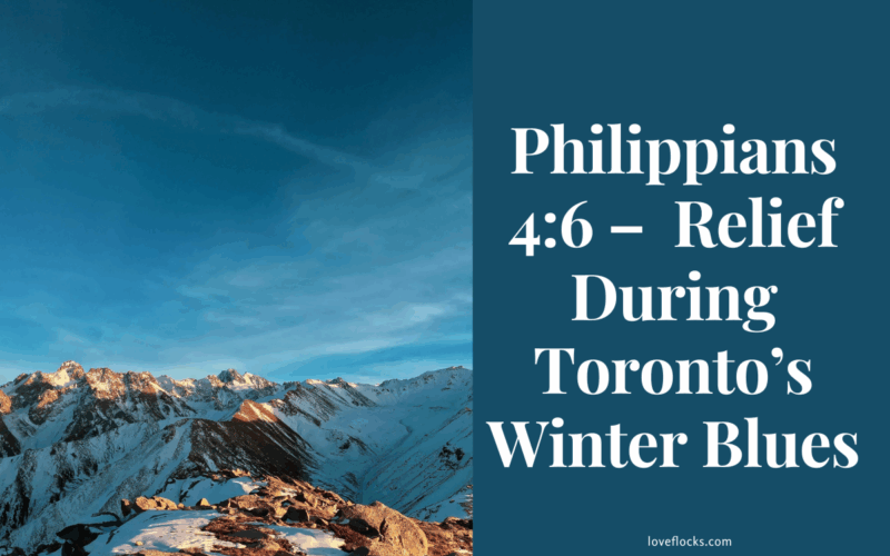 Philippians 4:6 – Relief During Toronto’s Winter Blues