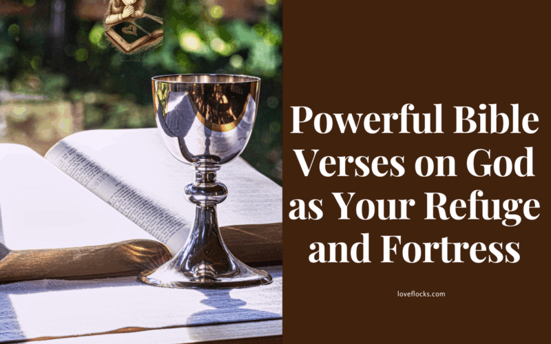 Powerful Bible Verses on God as Your Refuge and Fortress